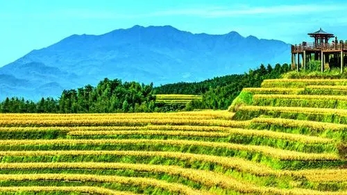 休閑農業如何深挖鄉村特色?