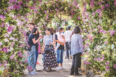 專家熱議：高水平推進(jìn)國家植物園體系建設(shè)