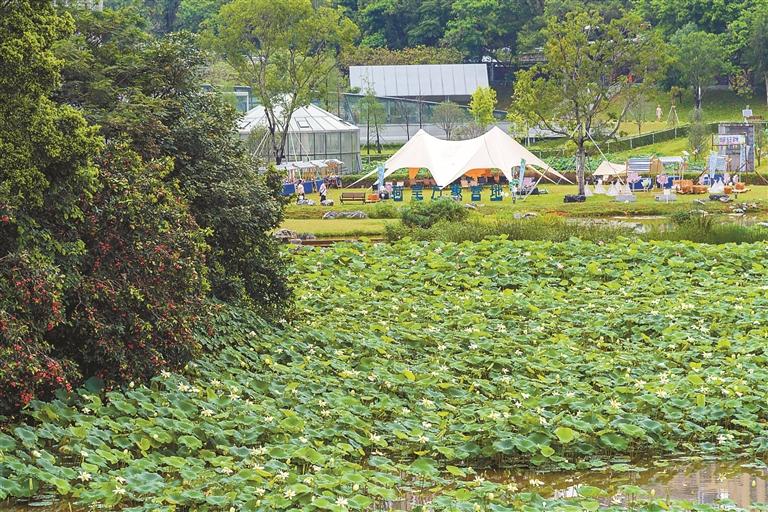 “公園+市集”出圈 解鎖地?cái)傂峦娣?></a>
</div>
<div   id=