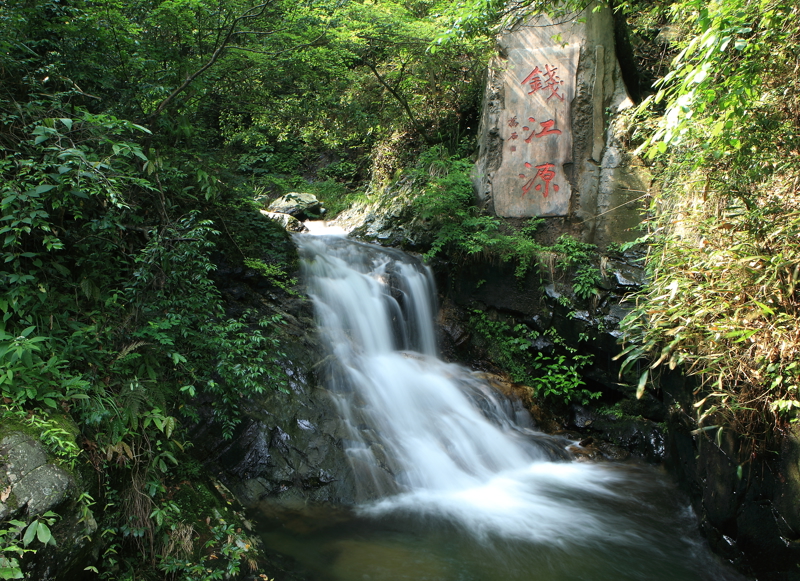 長(zhǎng)三角首個(gè)國(guó)家公園將誕生
