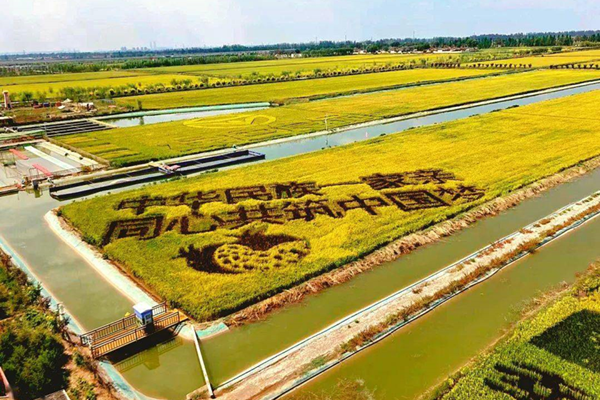 如何玩轉(zhuǎn)休閑農(nóng)業(yè)觀光景觀？