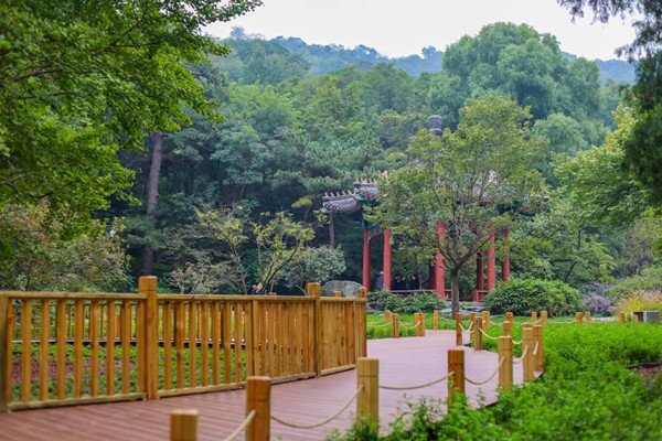 北京香山公園設(shè)立首個古樹保護(hù)示范區(qū)