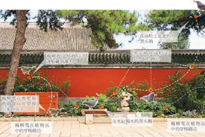 齊欣：關(guān)注基于自然的文化方案