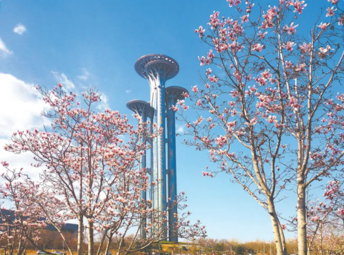 北京朝陽區(qū)多舉措全力推進花園城市建設(shè)