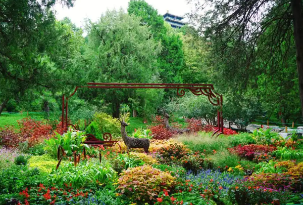 北京市屬公園發布40余處“小而美”賞秋花境