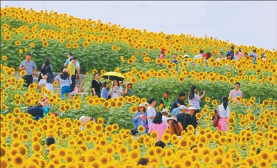 北京最大城市綠肺溫榆河公園全面建成開放