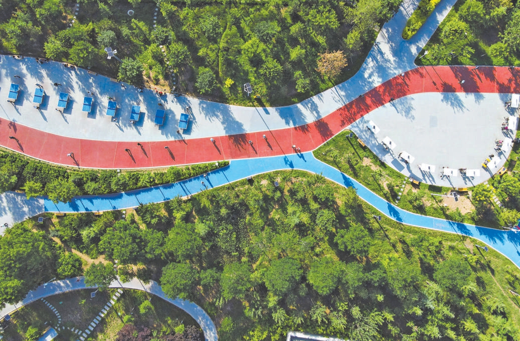 我國(guó)森林覆蓋率超25%