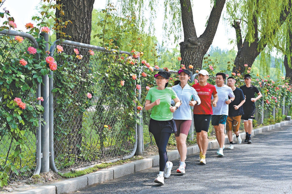 北京：京密引水渠今夏一路“披花衣”